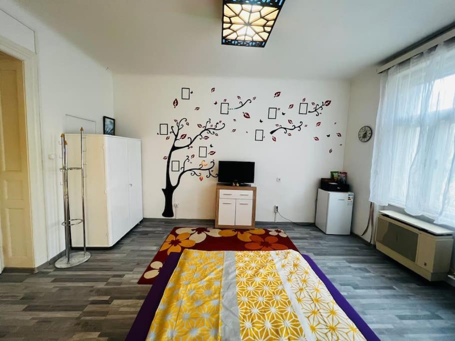 Szeged Apartment Eksteriør bilde