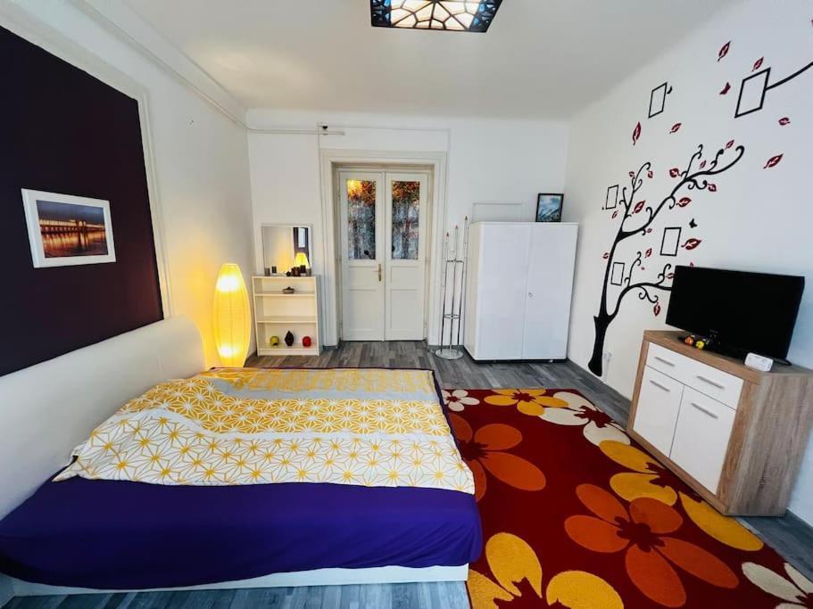 Szeged Apartment Eksteriør bilde